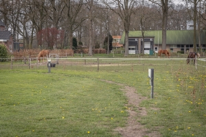 Ruime plaatsen op boerencamping Haneveld